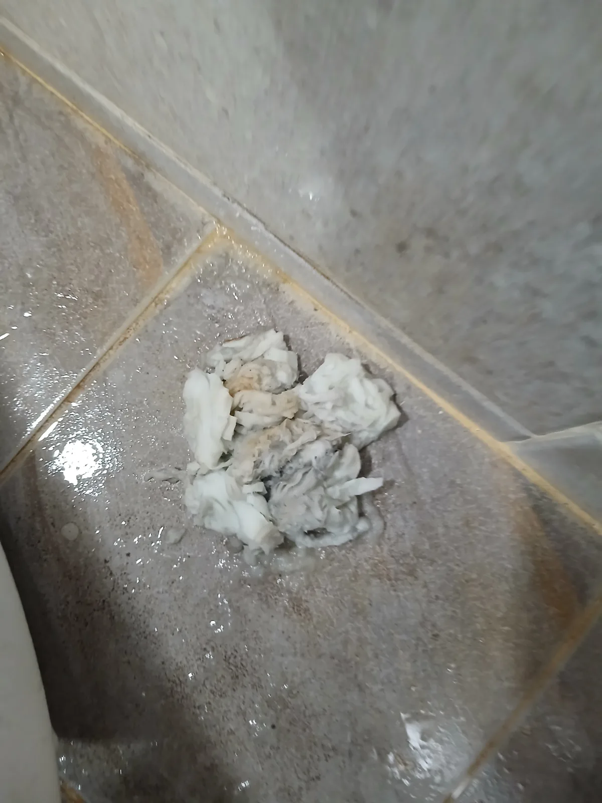 동작구 대방동 변기막힘 변기 내부에서 실제로 제거한 청소포입니다. 물에 쉽게 풀리지 않는 청소포가 내부에 걸려 발생한 이번 대방동 변기막힘의 원인을 직관적으로 보여줍니다.