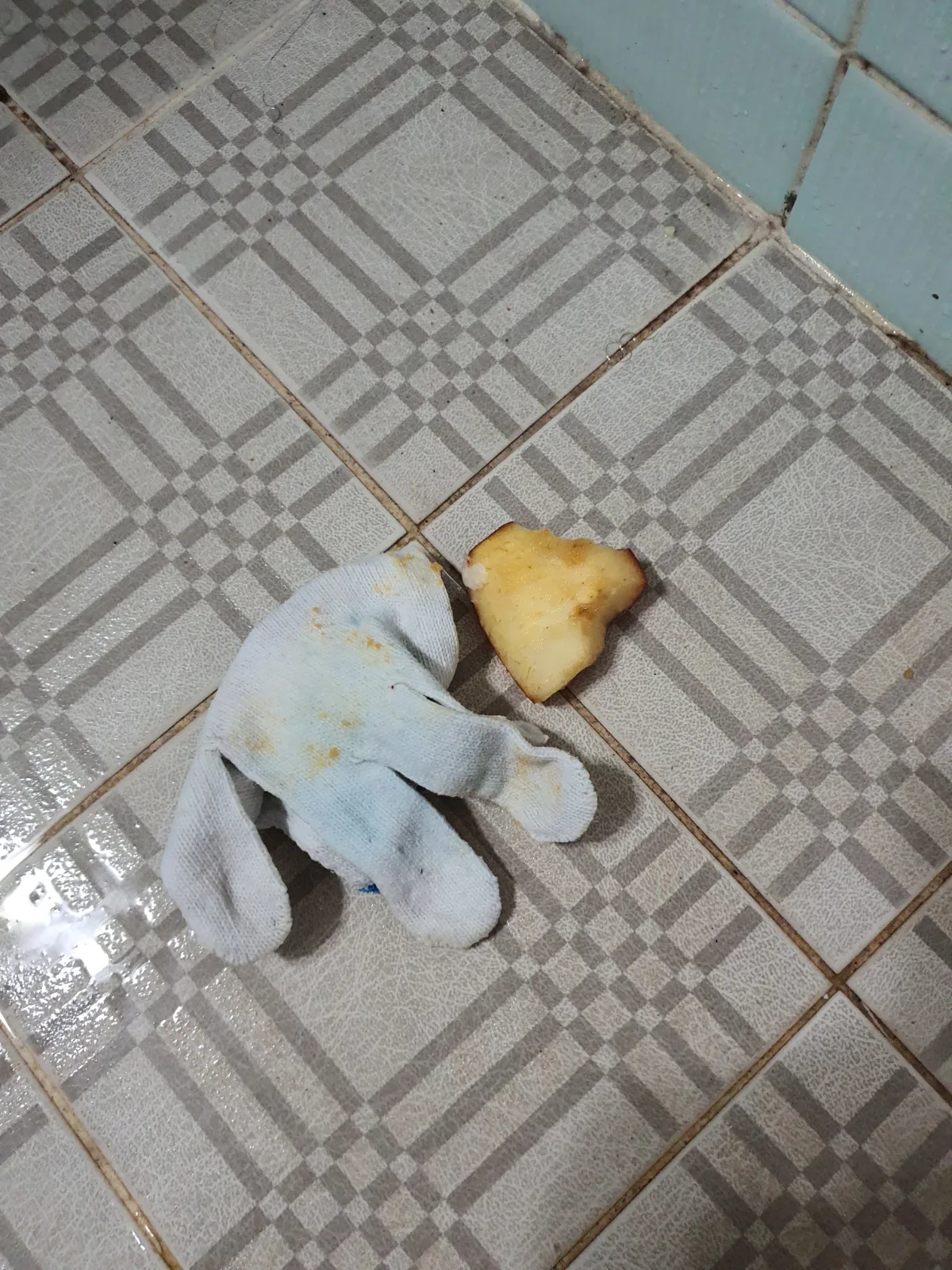 수원시 권선구 권선동 변기막힘 변기 내부에서 꺼낸 사과 조각입니다. 좁은 트랩 구간에 걸려 배수를 방해하던 이물질을 제거했습니다.